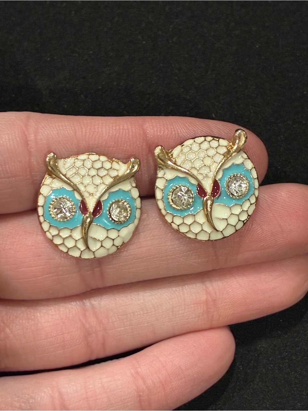 Vintage Cloisonné Enamel Owl Earrings